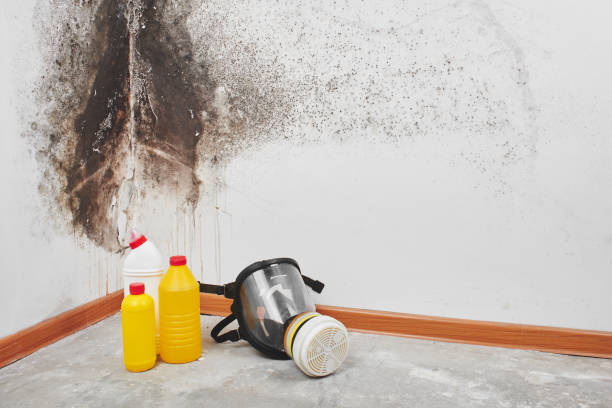 Best Mold Testing  in Heathcote, NJ