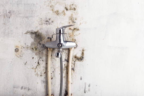 Mold Removal Process in Heathcote, NJ