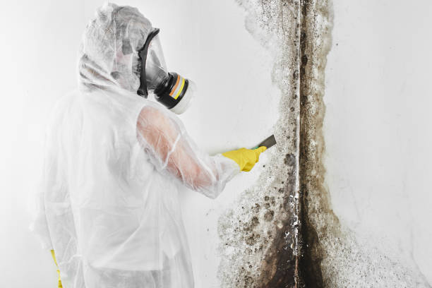 Best Crawl Space Mold Removal  in Heathcote, NJ