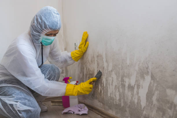 Best Mold Testing  in Heathcote, NJ