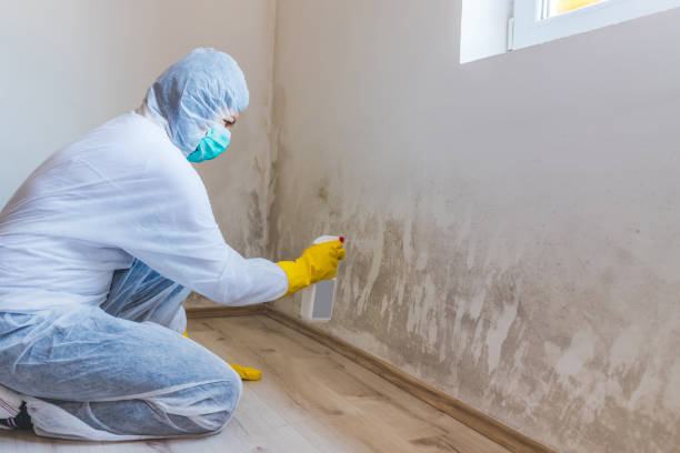 Mold Removal and Inspection in Heathcote, NJ