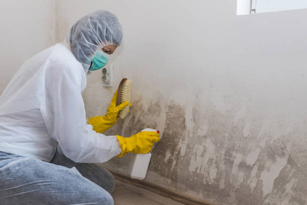 Best Emergency Mold Removal  in Heathcote, NJ