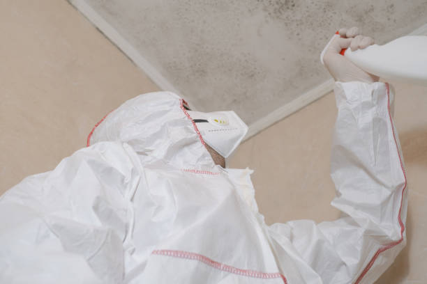 Best Toxic Mold Removal  in Heathcote, NJ