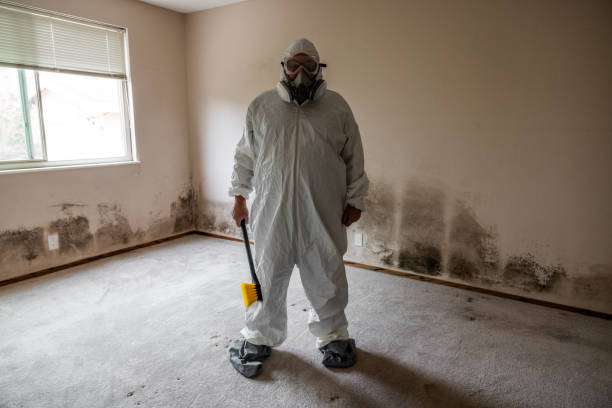 Best Mold Damage Repair  in Heathcote, NJ