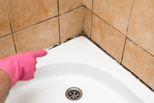 Heathcote, NJ Mold Removal Company